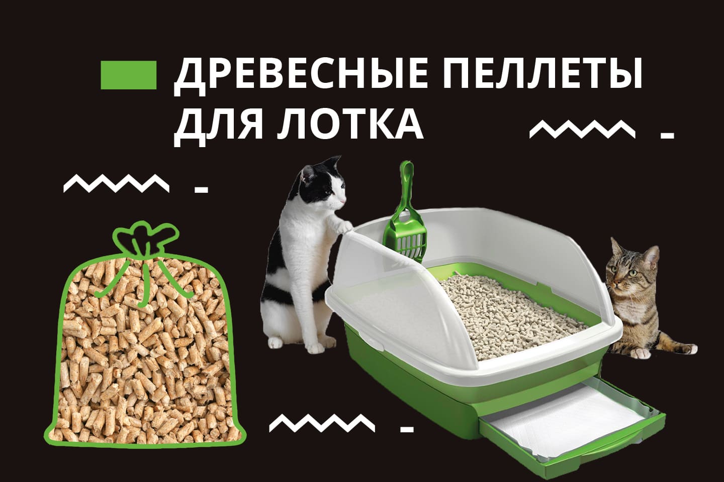 Что делать, если котенок ест наполнитель для туалета?
